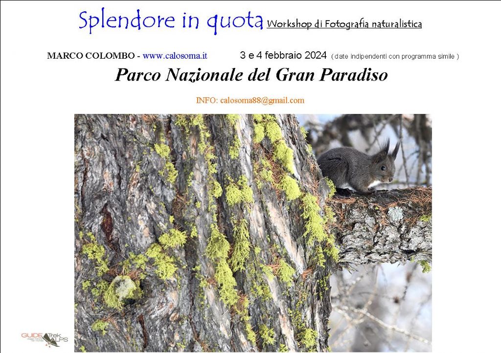 workshop Gran Paradiso febbraio 2024